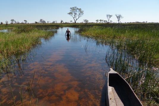 Kąpiel w Okavango